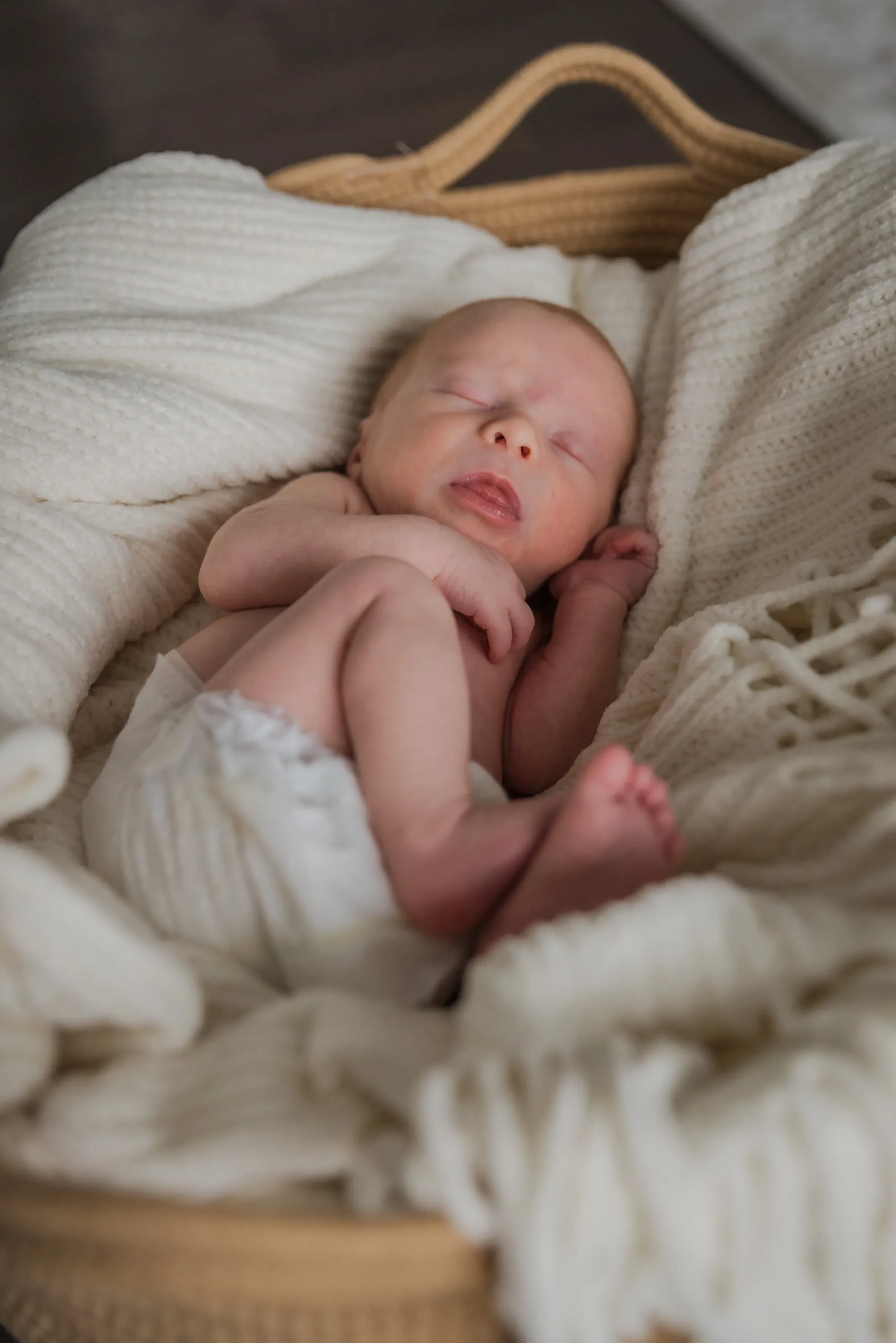 Family portrait by Laura Christine Photography in Louisville, Kentucky