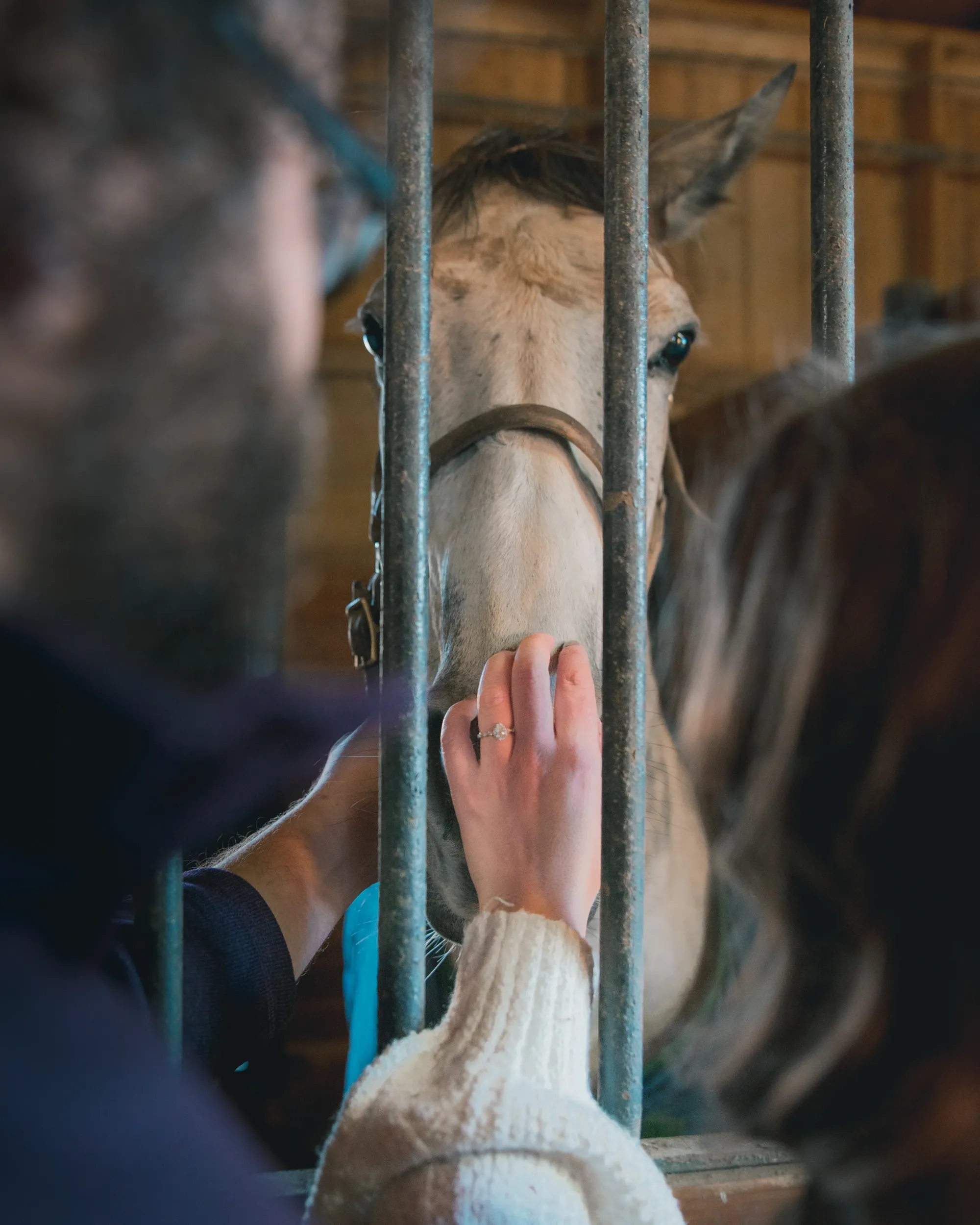 Engagement moment by Laura Christine Photography in Louisville, Kentucky