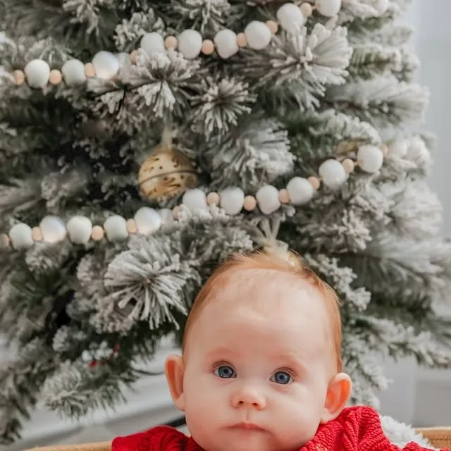 Christmas photos with the Cooks was a success! And I can't believe Olivia is 6 months old already! Time really does fly. I absolutely love what we captured during this sweet session. 🥰🎄…