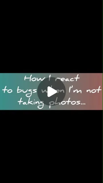 Anyone who knows me knows that I Don’t. Do. Bugs. 🐝

There is no amount of pep talking myself that will keep my entire body from recoiling and sprinting in the opposite direction. Yes, it’s…