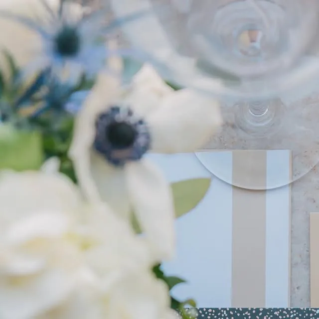 ❤️ Congratulations to Mr. and Mrs. Hines! ❤️ Their wedding this past weekend was full of class and great dance moves. I can’t wait to edit the rest of these beautiful photos. For now, enjoy this…