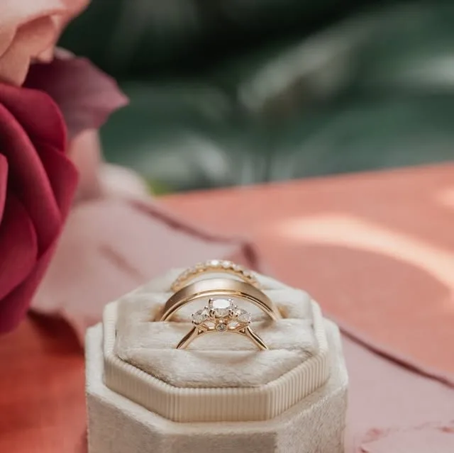 Amanda and Carter's wedding gallery has been delivered! 🥰

This was by far the most intricately planned and designed wedding I've ever been a part of, and it really shows. I seriously wish I could…